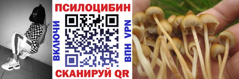 Псилоцибиновые грибы мицелий  где продают наркотики  hydra ТОР  Белореченск 